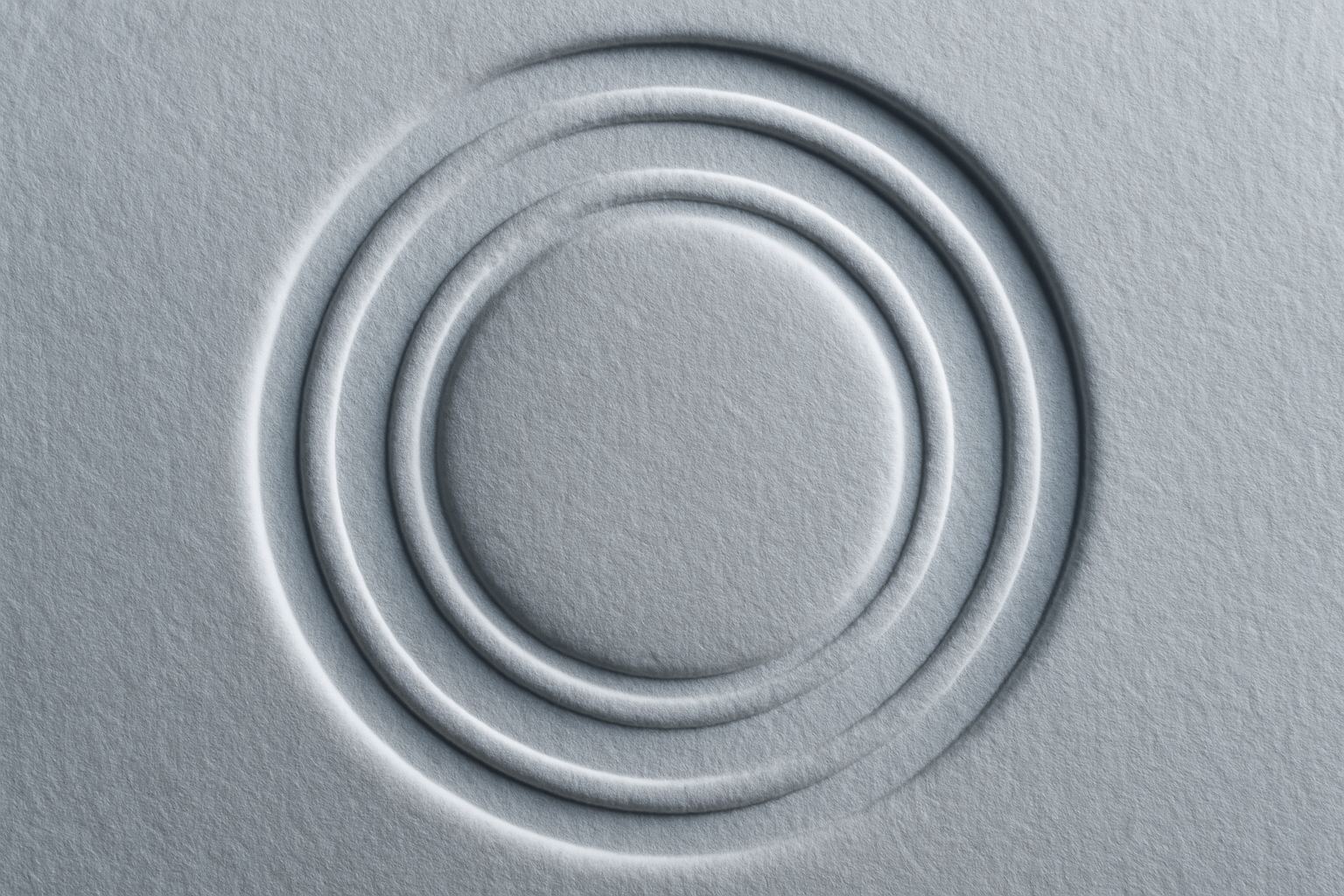 An embossed seal impression carrying no words. A registration is a status, not a testimonial.